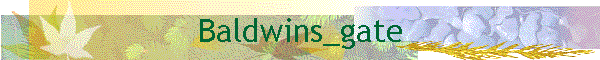 Baldwins_gate