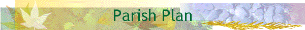 Parish Plan